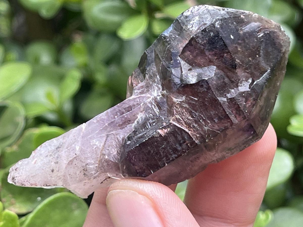 Natural Chiredzi Amethyst Sceptre With Enhydo x 1 From Chiredzi, Zimbabwe