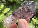 Natural Chiredzi Amethyst Sceptre With Enhydo x 1 From Chiredzi, Zimbabwe