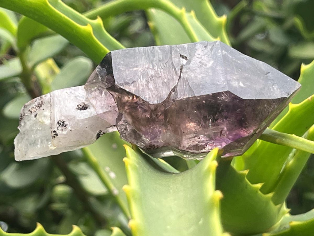 Natural Chiredzi Amethyst Sceptre With Enhydo x 1 From Chiredzi, Zimbabwe