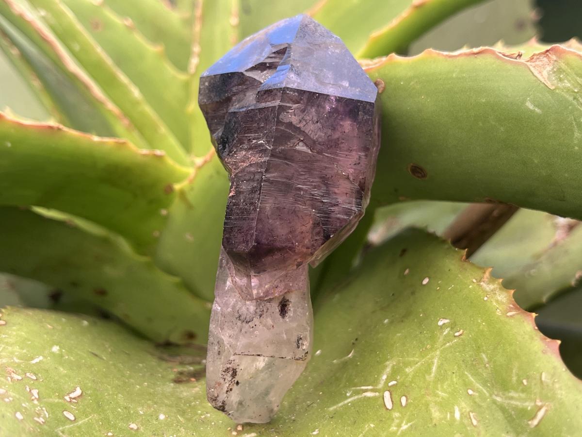 Natural Chiredzi Amethyst Sceptre With Enhydo x 1 From Chiredzi, Zimbabwe