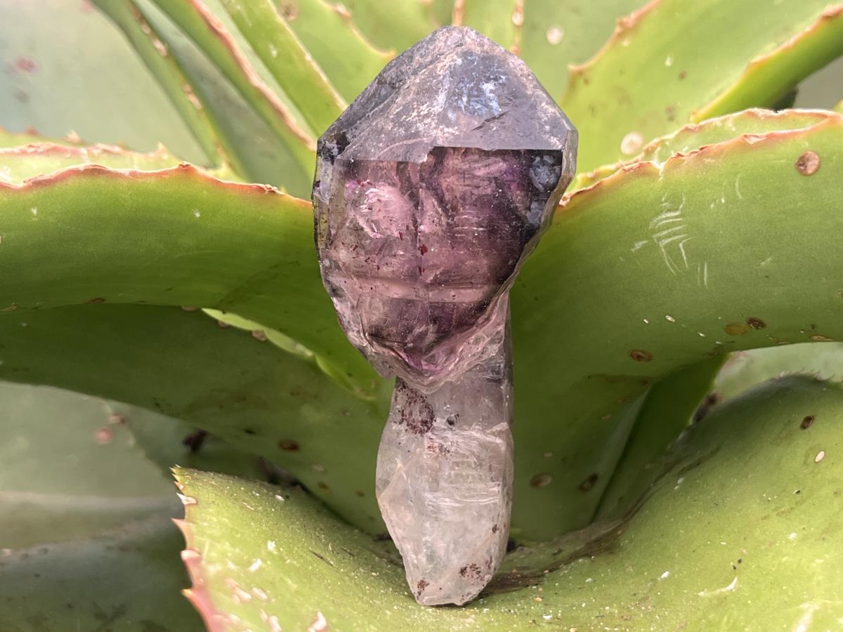 Natural Chiredzi Amethyst Sceptre With Enhydo x 1 From Chiredzi, Zimbabwe