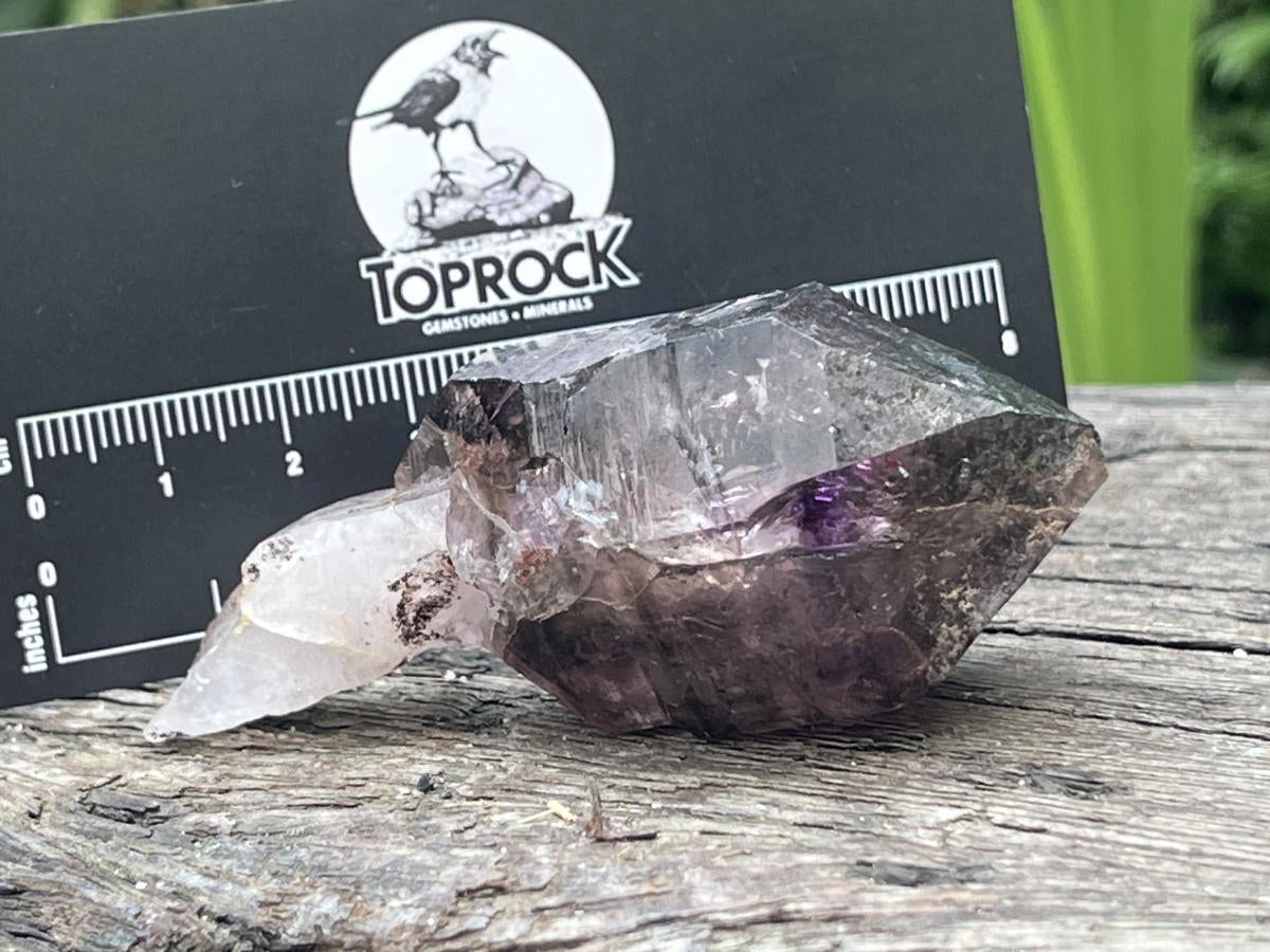 Natural Chiredzi Amethyst Sceptre With Enhydo x 1 From Chiredzi, Zimbabwe