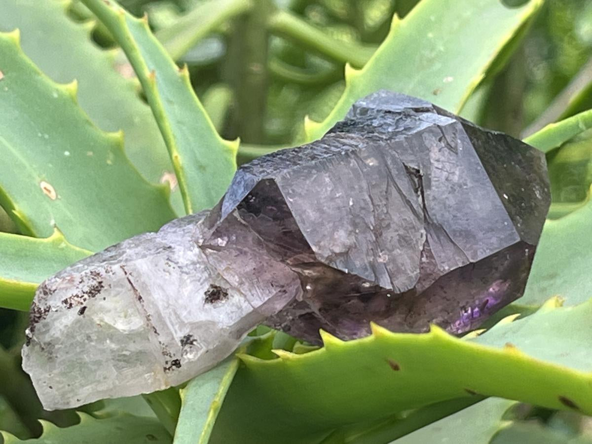 Natural Chiredzi Amethyst Sceptre With Enhydo x 1 From Chiredzi, Zimbabwe