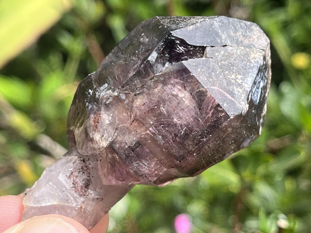 Natural Chiredzi Amethyst Sceptre With Enhydo x 1 From Chiredzi, Zimbabwe