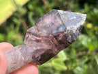 Natural Chiredzi Amethyst Sceptre With Enhydo x 1 From Chiredzi, Zimbabwe
