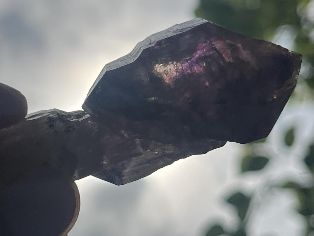 Natural Chiredzi Amethyst Sceptre With Enhydo x 1 From Chiredzi, Zimbabwe