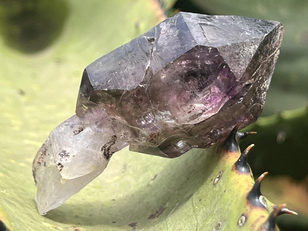 Natural Chiredzi Amethyst Sceptre With Enhydo x 1 From Chiredzi, Zimbabwe