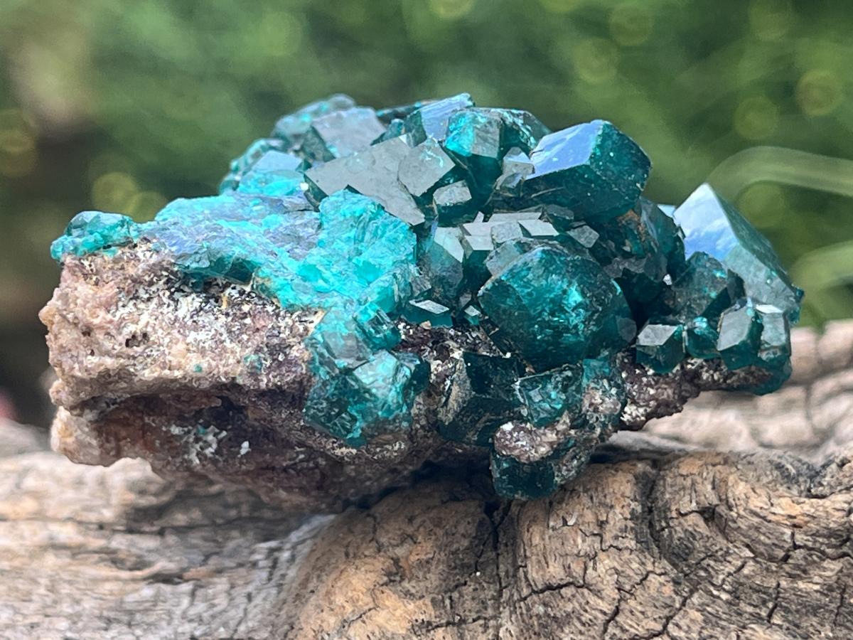 Natural Dioptase Specimen On Dolomite Matrix x 1 From Likasi, Congo