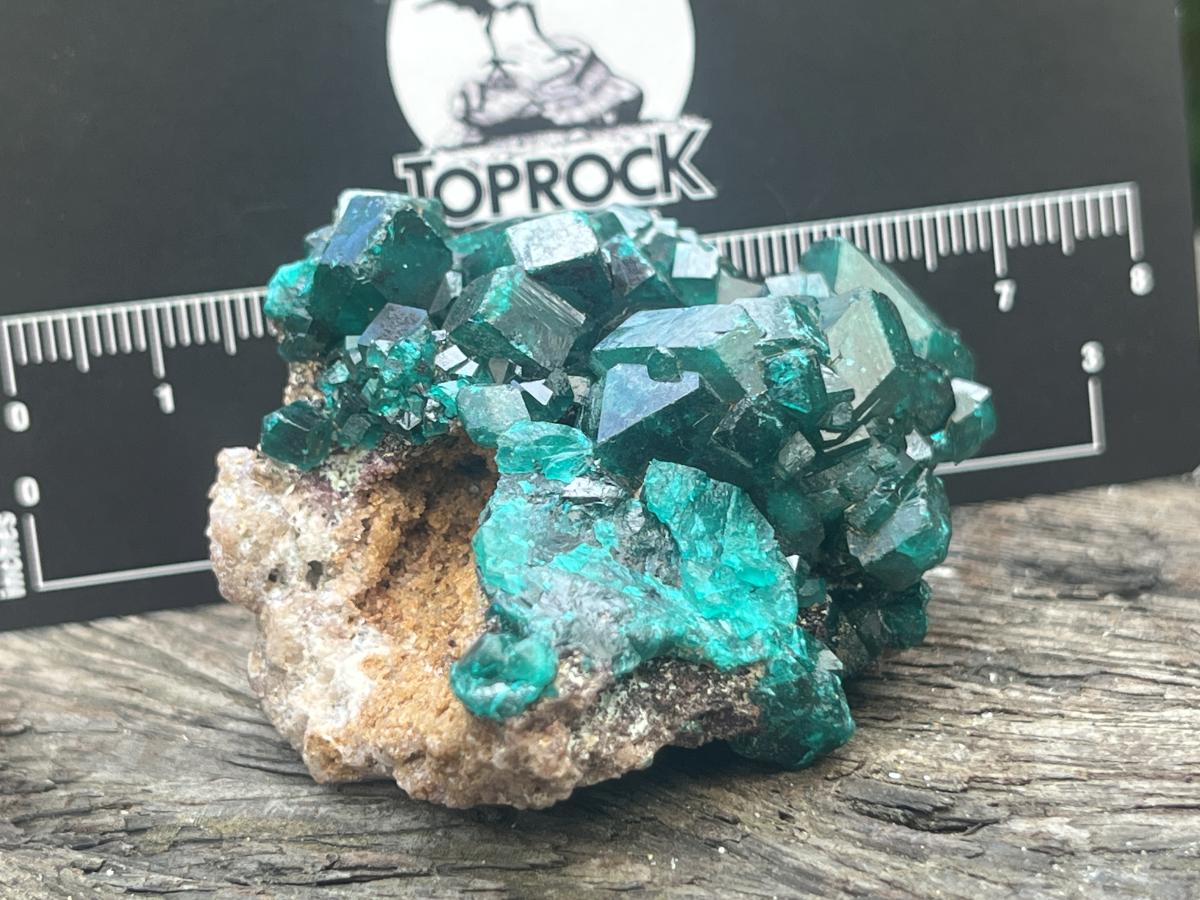 Natural Dioptase Specimen On Dolomite Matrix x 1 From Likasi, Congo