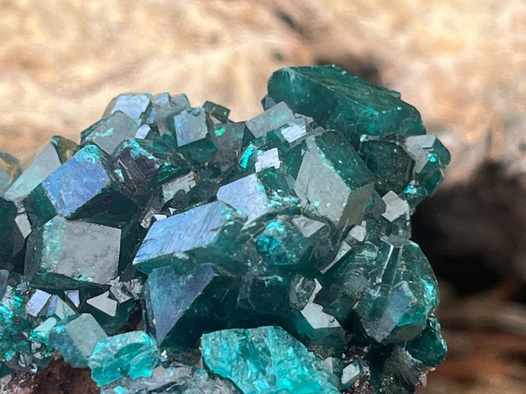 Natural Dioptase Specimen On Dolomite Matrix x 1 From Likasi, Congo