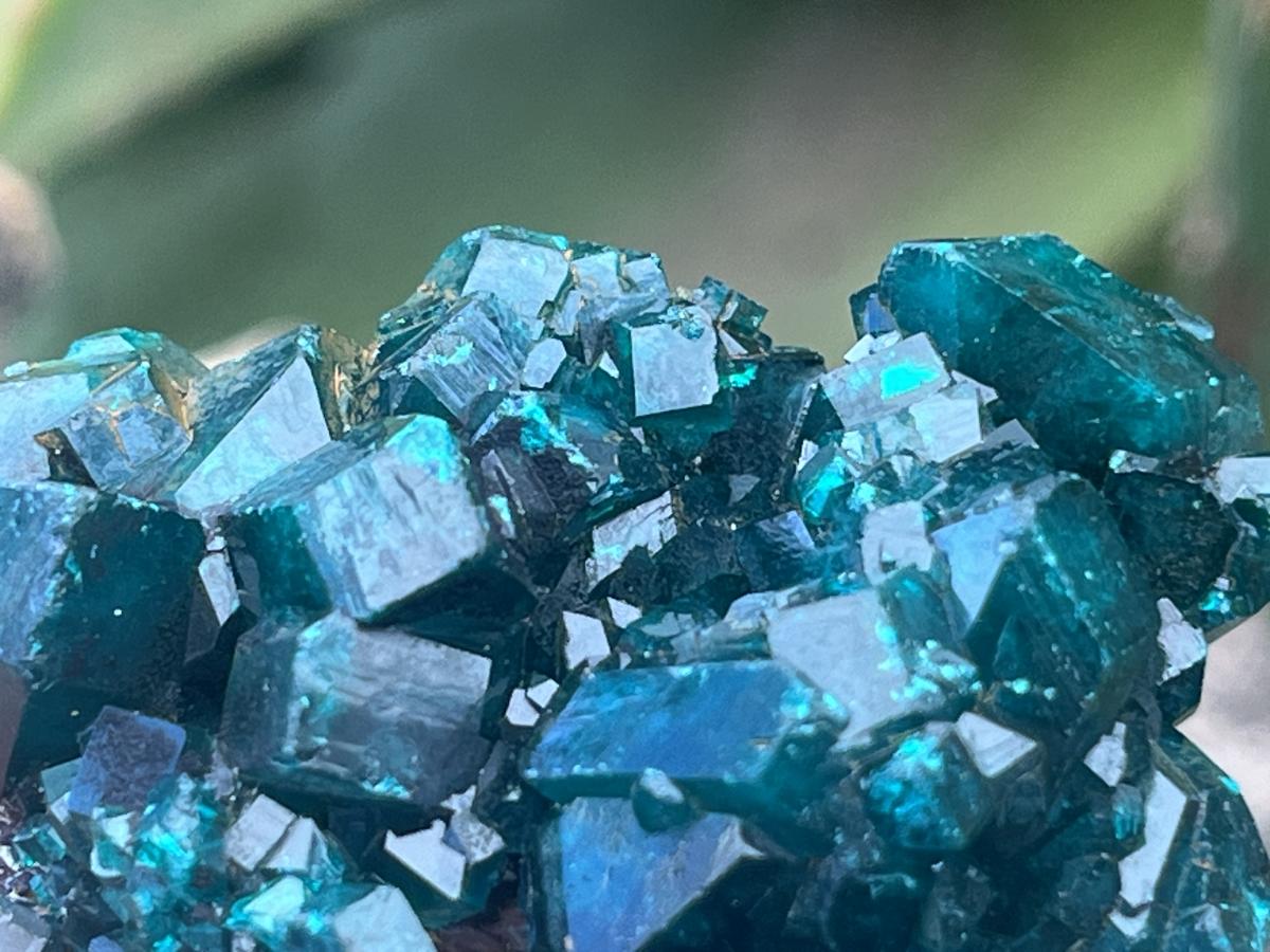 Natural Dioptase Specimen On Dolomite Matrix x 1 From Likasi, Congo
