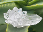 Natural Mini Optic Clear Brandberg Flower Quartz Cluster x 1 From Brandberg, Namibia