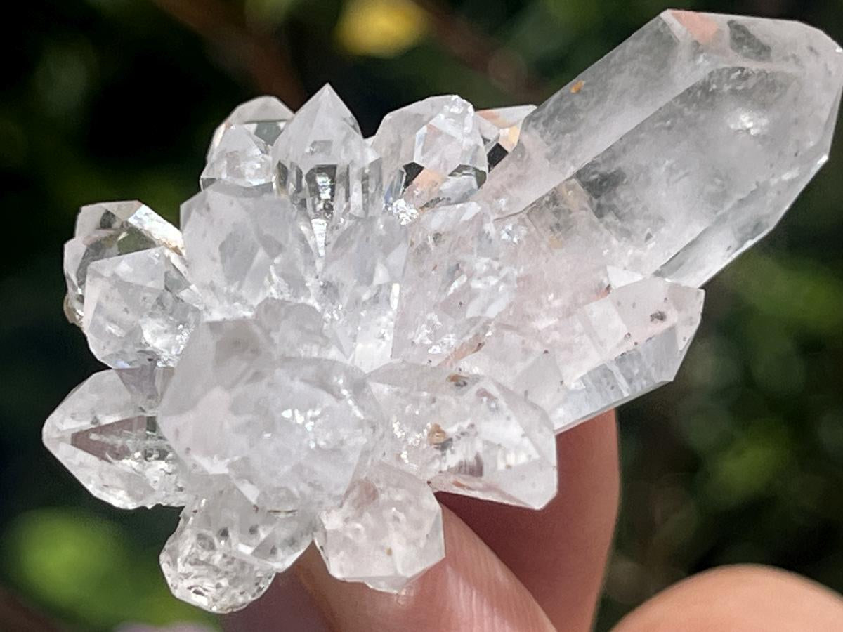 Natural Mini Optic Clear Brandberg Flower Quartz Cluster x 1 From Brandberg, Namibia