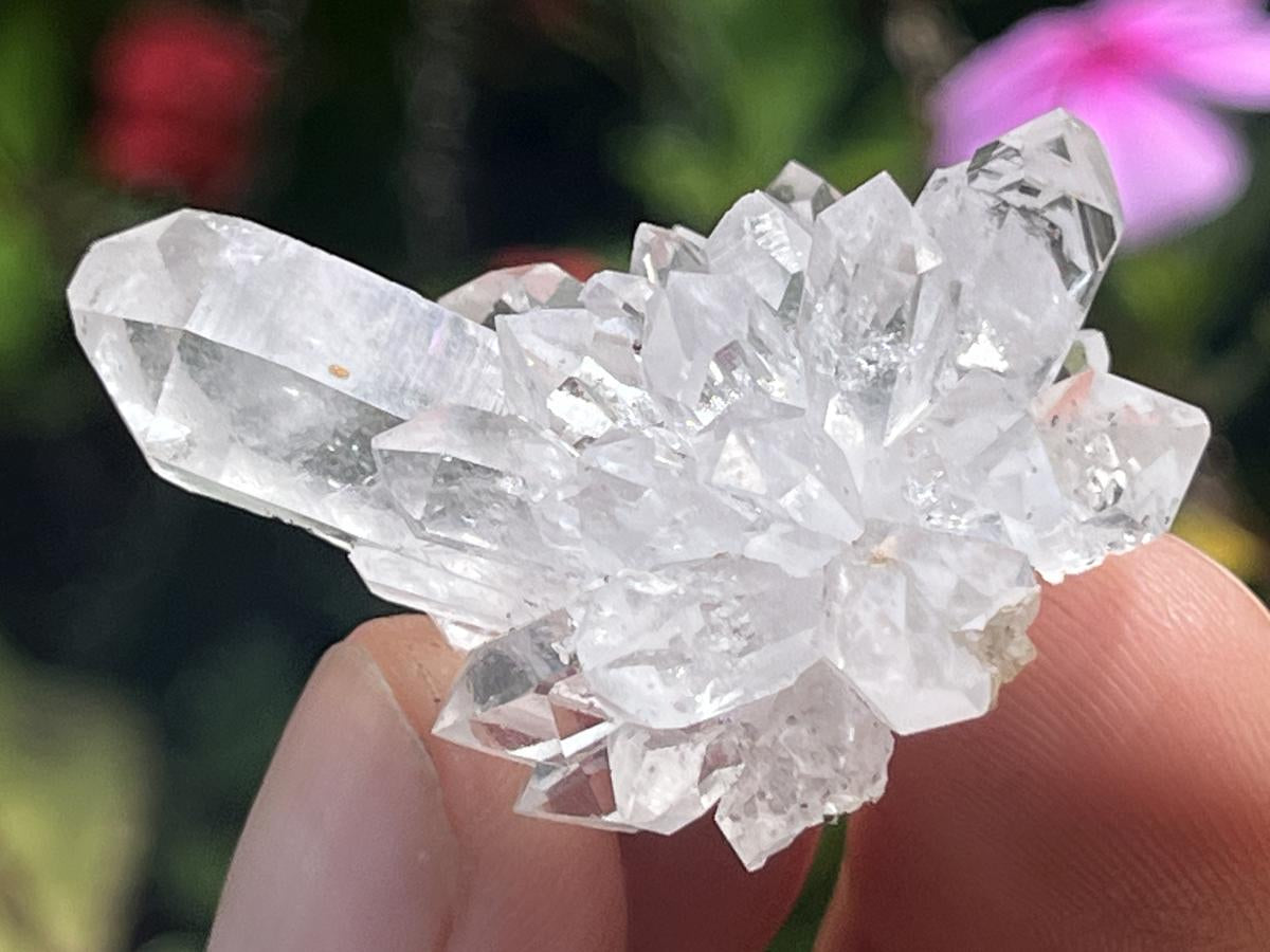 Natural Mini Optic Clear Brandberg Flower Quartz Cluster x 1 From Brandberg, Namibia