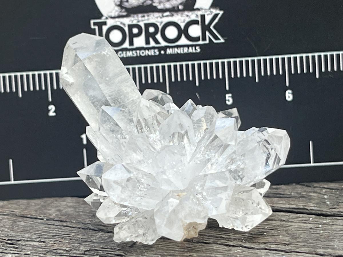 Natural Mini Optic Clear Brandberg Flower Quartz Cluster x 1 From Brandberg, Namibia