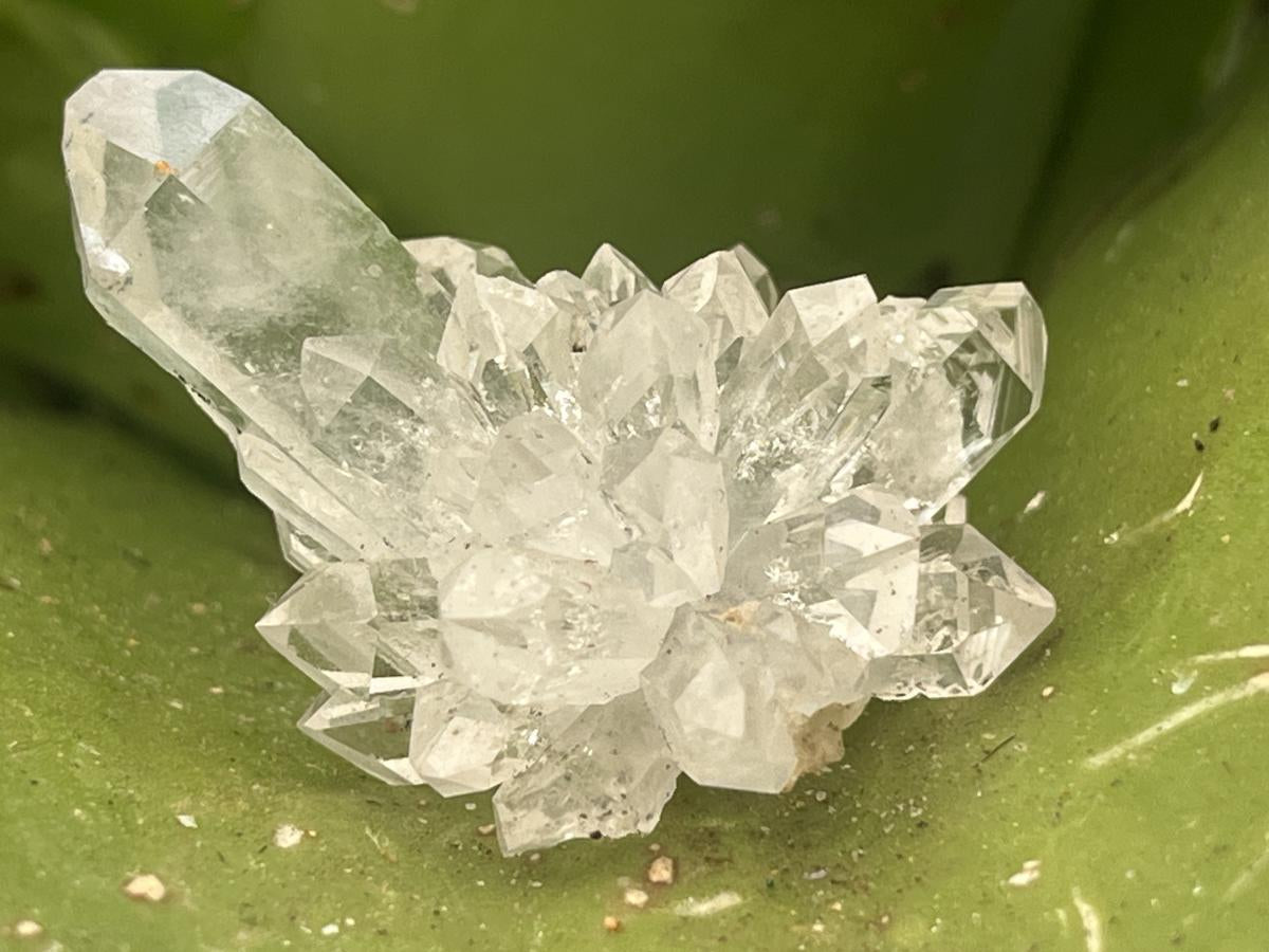 Natural Mini Optic Clear Brandberg Flower Quartz Cluster x 1 From Brandberg, Namibia