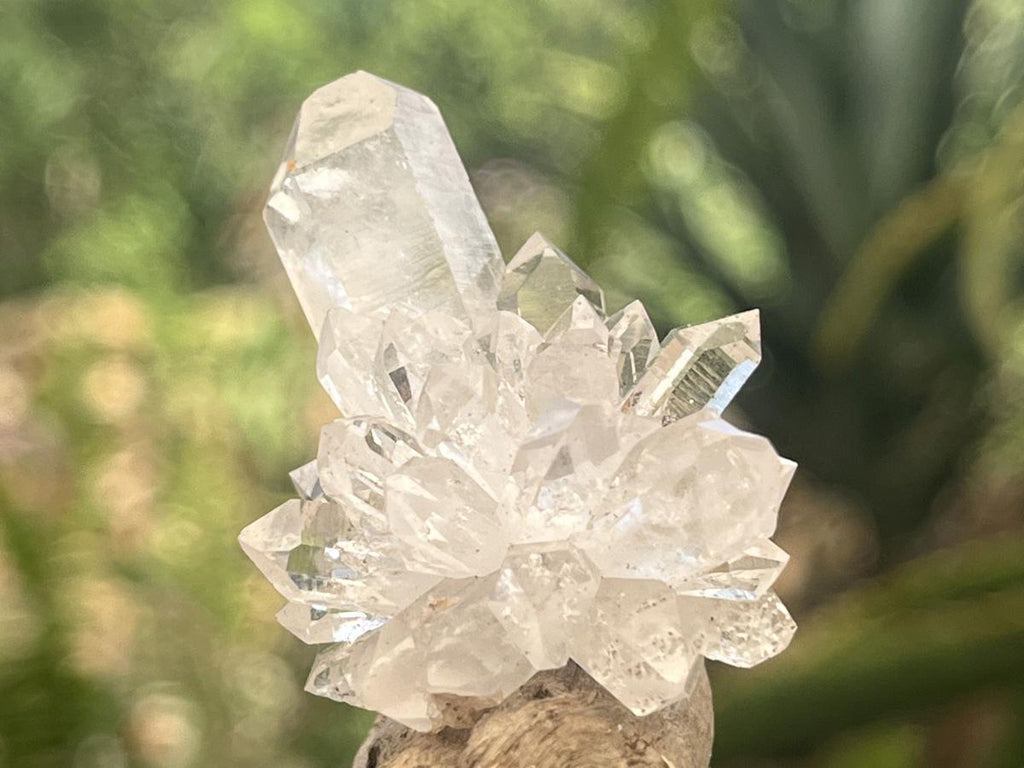 Natural Mini Optic Clear Brandberg Flower Quartz Cluster x 1 From Brandberg, Namibia