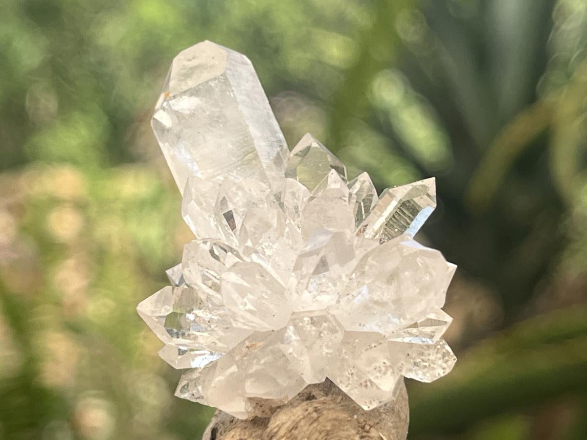 Natural Mini Optic Clear Brandberg Flower Quartz Cluster x 1 From Brandberg, Namibia