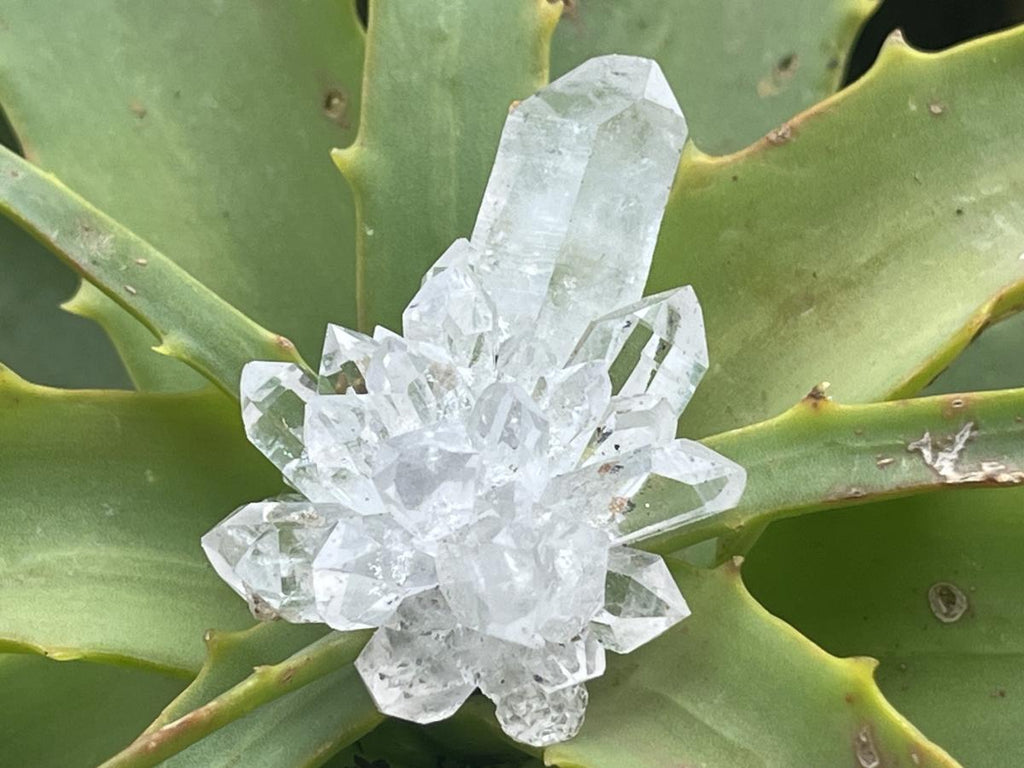 Natural Mini Optic Clear Brandberg Flower Quartz Cluster x 1 From Brandberg, Namibia