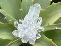 Natural Mini Optic Clear Brandberg Flower Quartz Cluster x 1 From Brandberg, Namibia