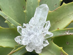 Natural Mini Optic Clear Brandberg Flower Quartz Cluster x 1 From Brandberg, Namibia