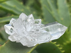 Natural Mini Optic Clear Brandberg Flower Quartz Cluster x 1 From Brandberg, Namibia