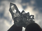 Natural Mini Optic Clear Brandberg Flower Quartz Cluster x 1 From Brandberg, Namibia