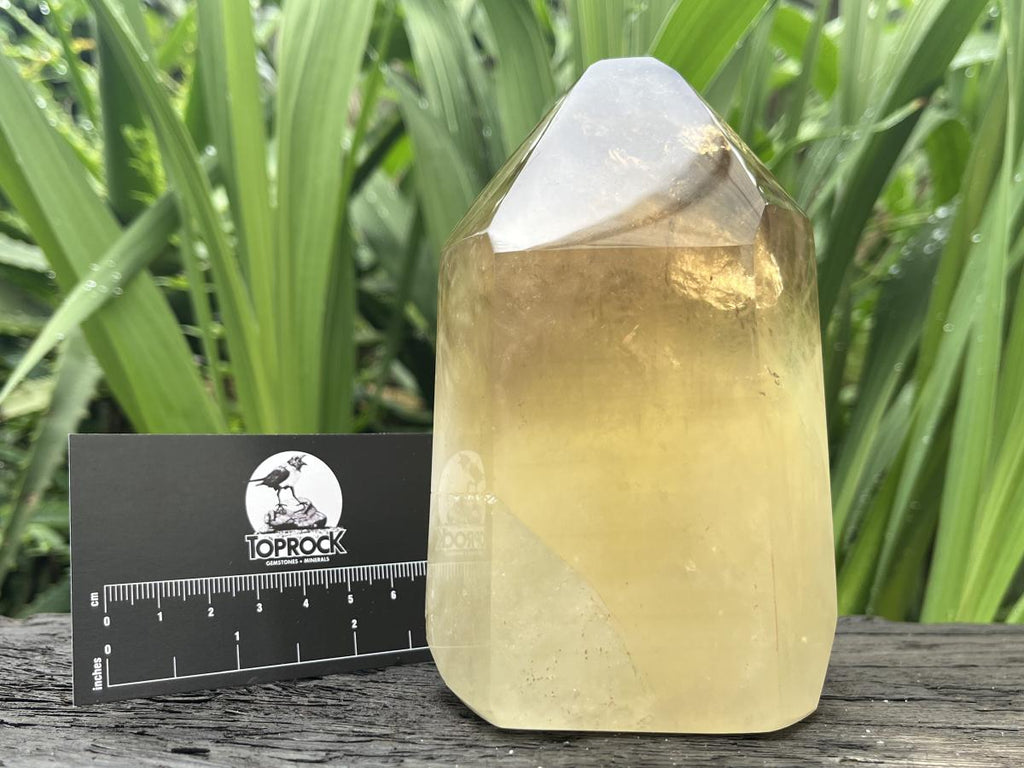 Polished XL Rare Citrine Crystal with Rainbow Veils x 1 From Madagascar