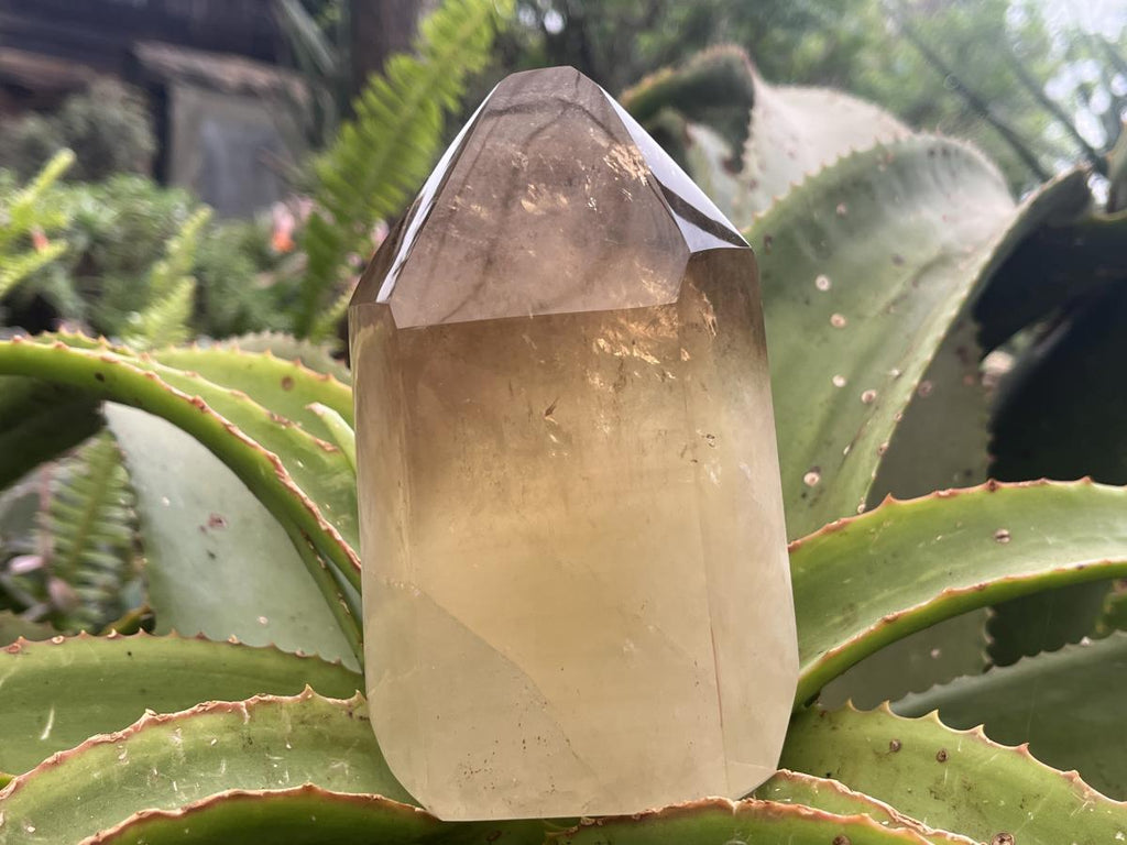 Polished XL Rare Citrine Crystal with Rainbow Veils x 1 From Madagascar
