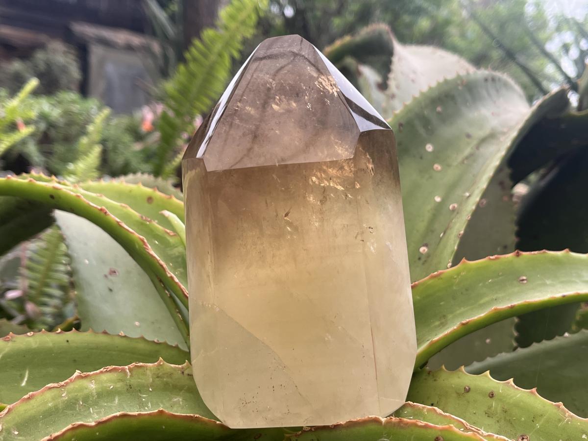 Polished XL Rare Citrine Crystal with Rainbow Veils x 1 From Madagascar