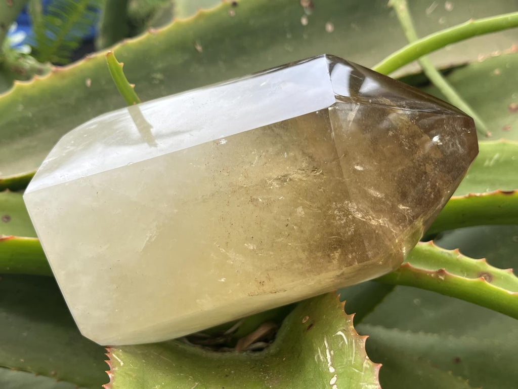 Polished XL Rare Citrine Crystal with Rainbow Veils x 1 From Madagascar