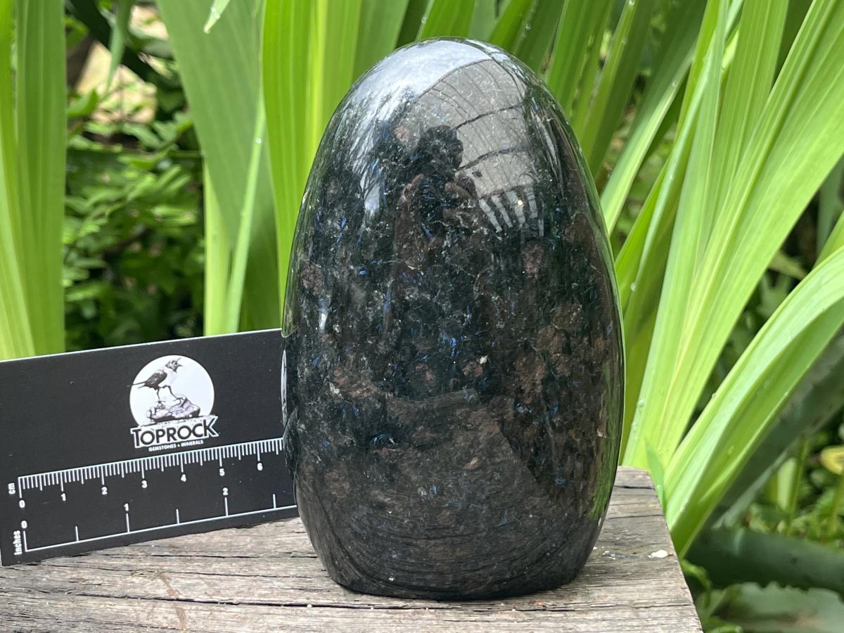 Polished Super Rare Blue Spark Iolite Standing Free Form x 1 From Madagascar