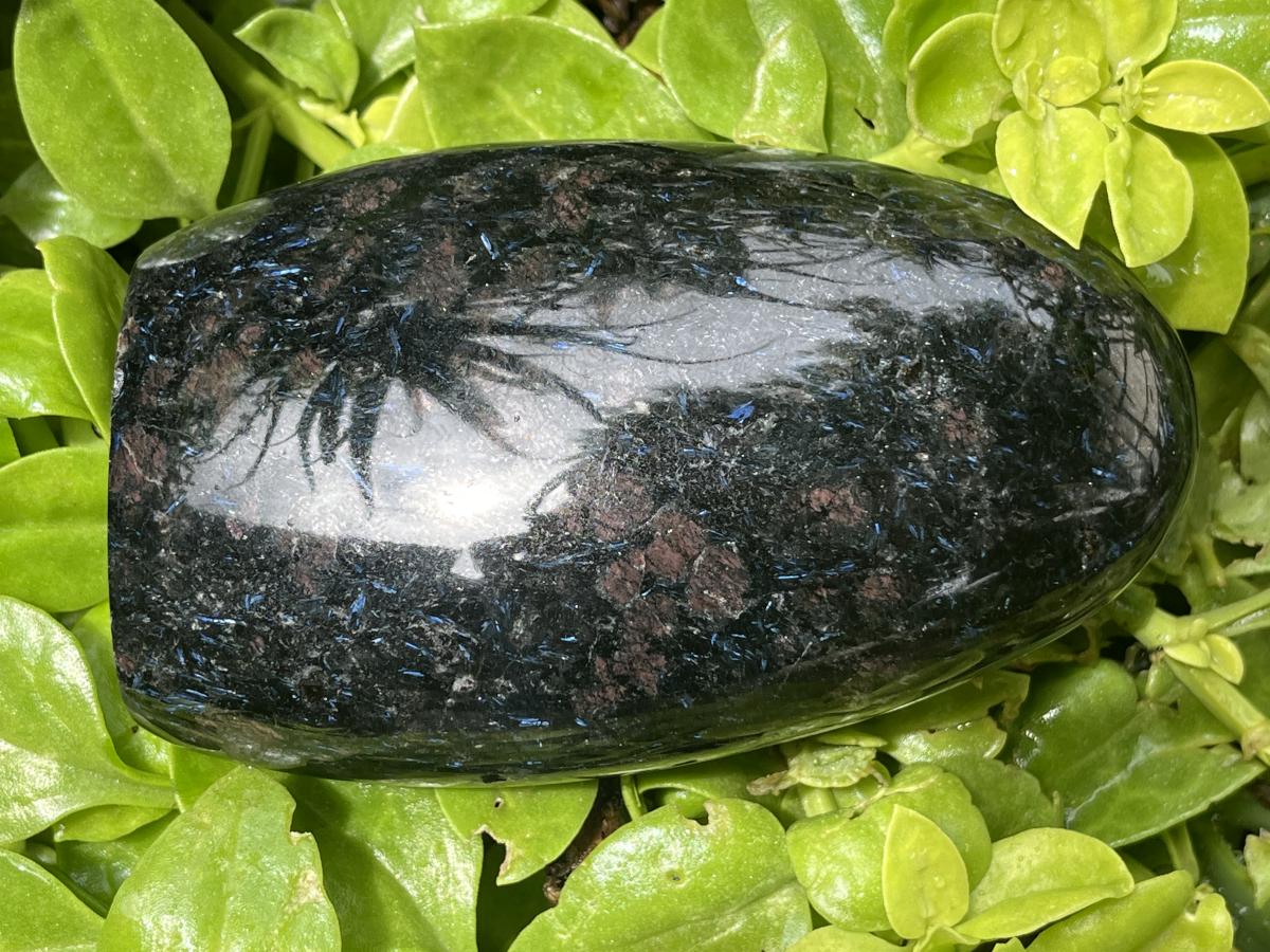 Polished Super Rare Blue Spark Iolite Standing Free Form x 1 From Madagascar