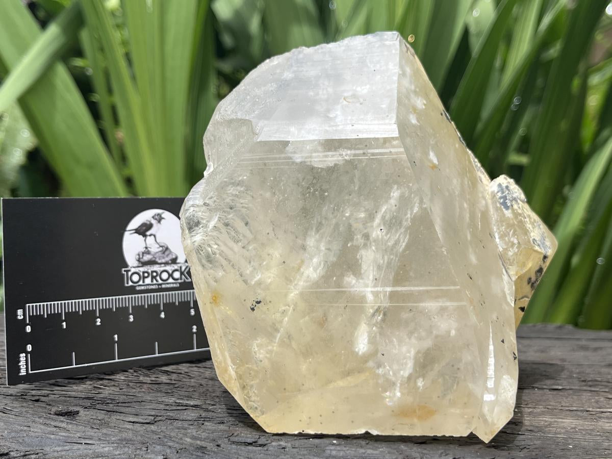 Natural XL Clear Quartz Crystal with Hyalite Opal x 1 From Erongo Mountain, Namibia