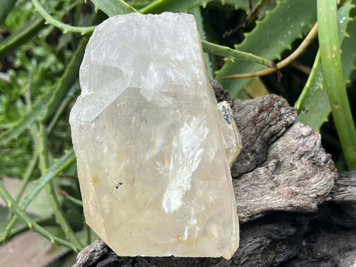 Natural XL Clear Quartz Crystal with Hyalite Opal x 1 From Erongo Mountain, Namibia