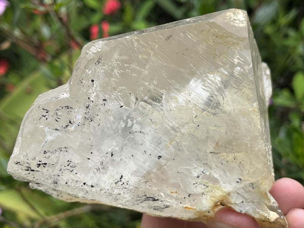 Natural XL Clear Quartz Crystal with Hyalite Opal x 1 From Erongo Mountain, Namibia