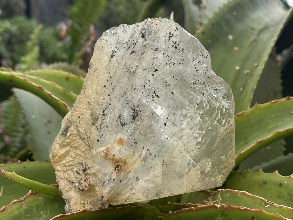 Natural XL Clear Quartz Crystal with Hyalite Opal x 1 From Erongo Mountain, Namibia