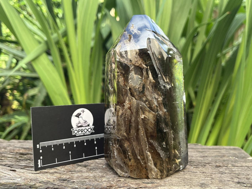 Polished Smokey Window Quartz with Latterite Veils Inside x 1 From Akansobe, Madagascar