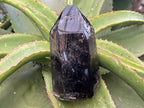 Polished Smokey Window Quartz with Latterite Veils Inside x 1 From Akansobe, Madagascar