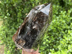 Polished Smokey Window Quartz with Latterite Veils Inside x 1 From Akansobe, Madagascar