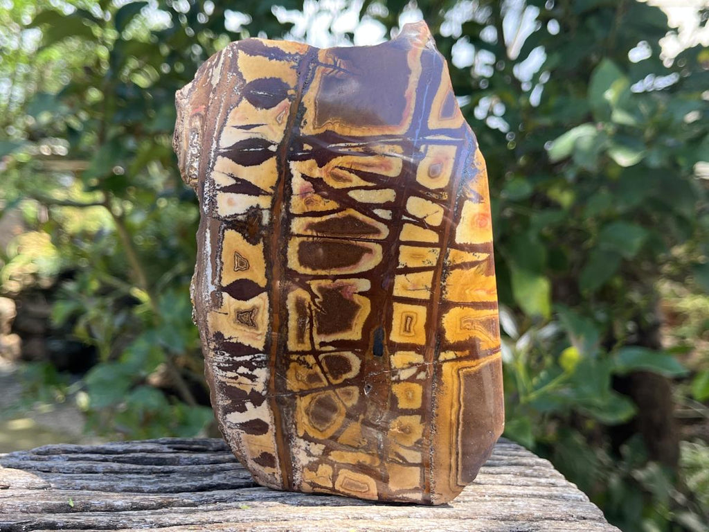 Polished Nguni Jasper Display Specimen x 1 From Northern Cape, South Africa