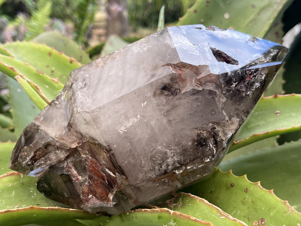 Polished XL Double Terminated Smokey Amethyst Window Quartz x 1 From Akansobe, Madagascar