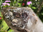 Polished XL Double Terminated Smokey Amethyst Window Quartz x 1 From Akansobe, Madagascar