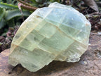 Natural XL Aquamarine Blue-Green Beryl Crystalline Floater Crystal x 1 From Ambatondrazaka, Madagascar