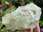 Natural XL Aquamarine Blue-Green Beryl Crystalline Floater Crystal x 1 From Ambatondrazaka, Madagascar
