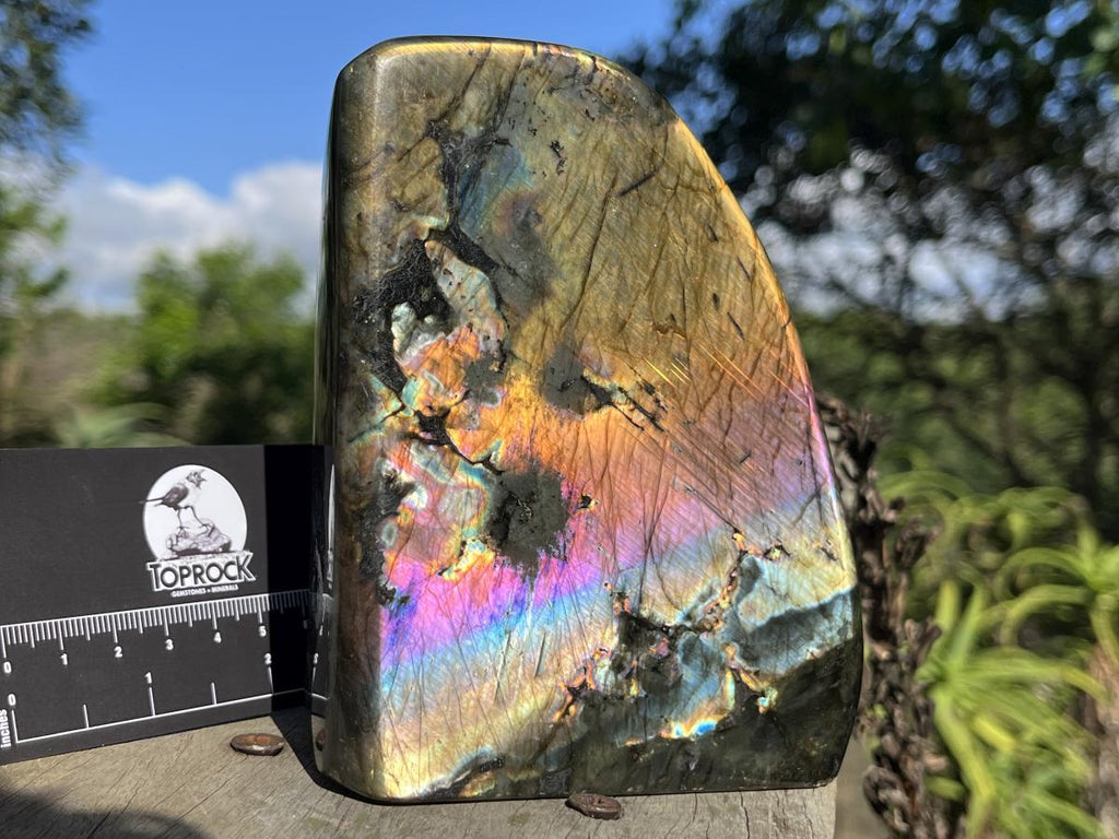 Polished Large Rainbow Labradorite Display Piece x 1 From Tulear, Madagascar