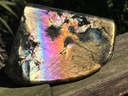 Polished Large Rainbow Labradorite Display Piece x 1 From Tulear, Madagascar