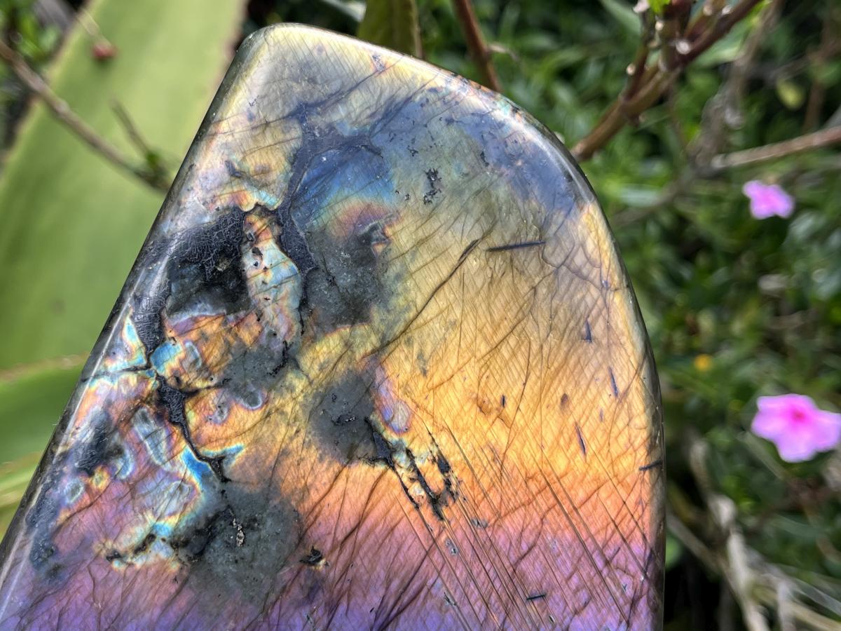 Polished Large Rainbow Labradorite Display Piece x 1 From Tulear, Madagascar