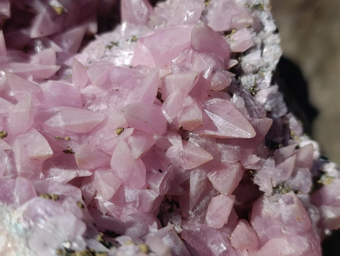 Natural XXL Extra Rare Rhodocalcite on Dolomite Specimen x 1 From Mashamba West Mine, Congo