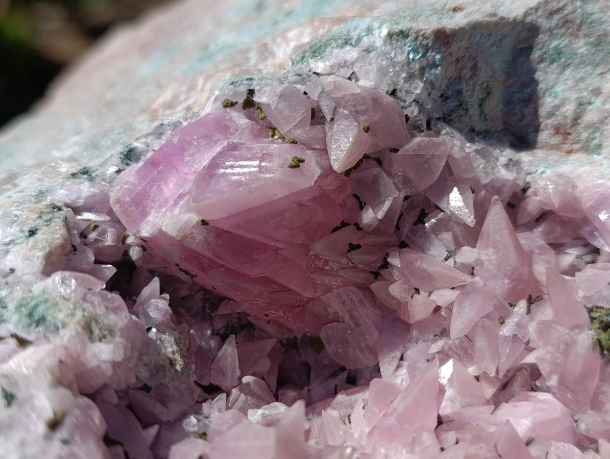 Natural XXL Extra Rare Rhodocalcite on Dolomite Specimen x 1 From Mashamba West Mine, Congo